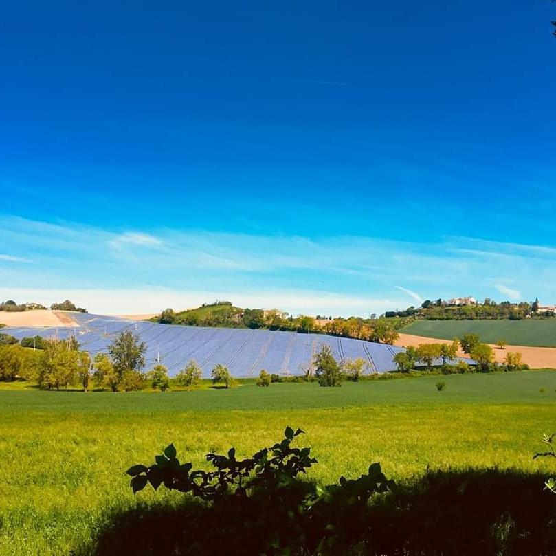 Domaine D'En Naudet Bed and Breakfast Teyssode Exteriör bild